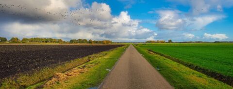 Farm road resurfacing in Devizes SN10